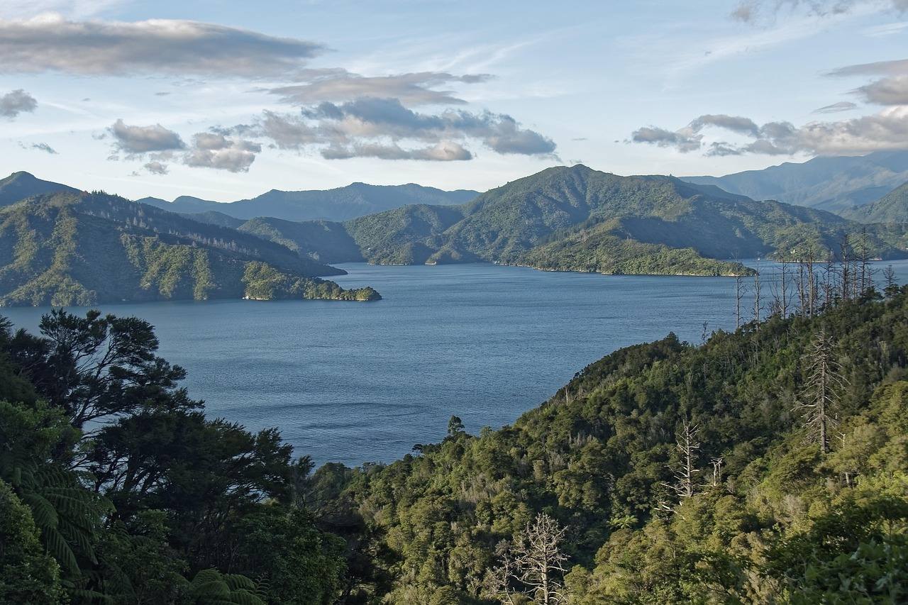 Impression aus dem Segelrevier Bay of Islands